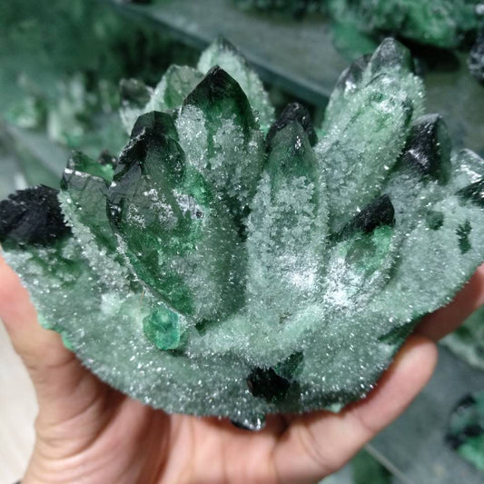 Raw Natural Healing Green Ghost Phantom Quartz Crystal Cluster  |5:200000990#300-400g|5:361385#400-500g|5:361386#500-600g|5:100014064#600-700g|5:100014065#700-800g|5:4182#800-900g