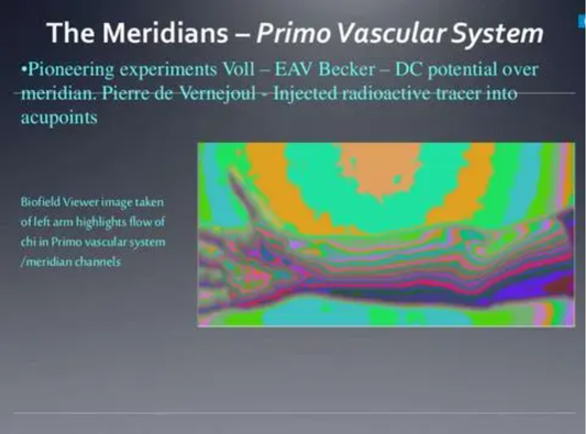 Scientific proof of the Meridian’s existence inside our body
