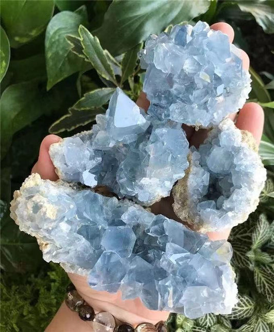 Natural Blue Celestite Crystal Gemstone Cluster Mineral Specimen |14:200006151#300-400g|14:200006152#800-900g|14:200006153#30-50g|14:200006154#50-70g|14:200004870#1000-1200G|14:200000195#400-500g|14:100018786#500-600g|14:365016#600-700g|14:350686#700-800g|14:350851#70-100g|14:350852#100-200g|14:350853#200-300g|14:351074#900-1000g|14:351075#1200-1400G|14:351268#1400-1600G